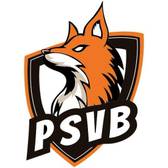 team_logo