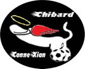 team_logo