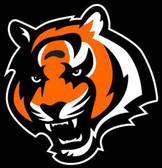 team_logo