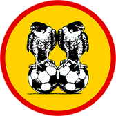 team_logo