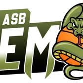 team_logo
