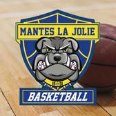 team_logo