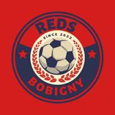 team_logo
