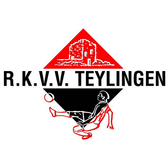 team_logo