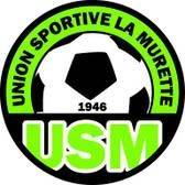 team_logo