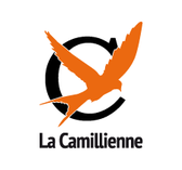 team_logo