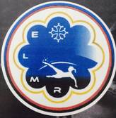 team_logo