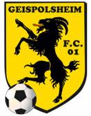 team_logo