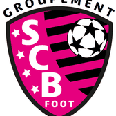 team_logo