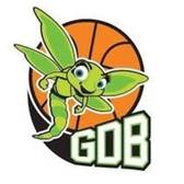 team_logo