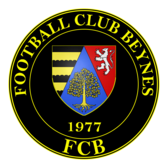 team_logo