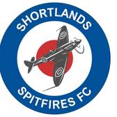 team_logo