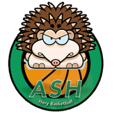 team_logo