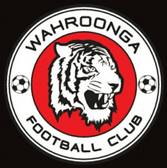 team_logo