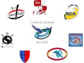 team_logo