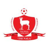 team_logo
