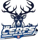 team_logo