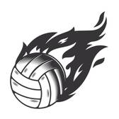 team_logo