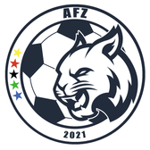 team_logo