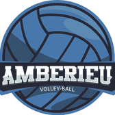 team_logo
