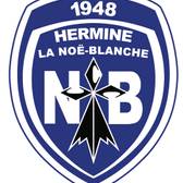 team_logo