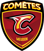 team_logo