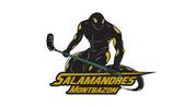 team_logo