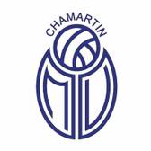 team_logo