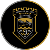 team_logo