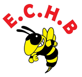 team_logo