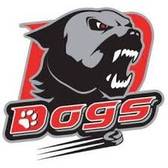 team_logo