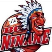 team_logo