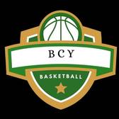 team_logo