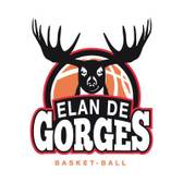team_logo