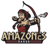 team_logo