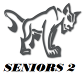 team_logo