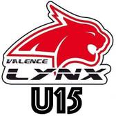 team_logo