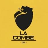 team_logo