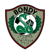team_logo