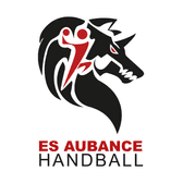 team_logo