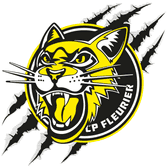 team_logo
