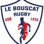 team_logo