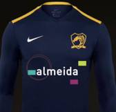 team_logo