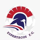 team_logo