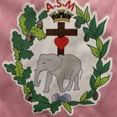team_logo
