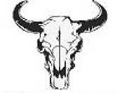 team_logo
