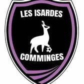 team_logo