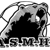 team_logo