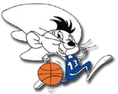 team_logo