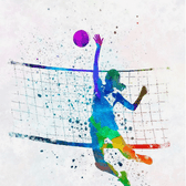 team_logo